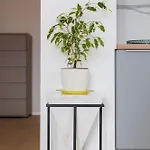 Vibes By Belmont Realty Apartman Zára
