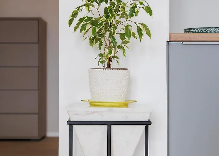 Vibes By Belmont Realty Apartmán Zadar