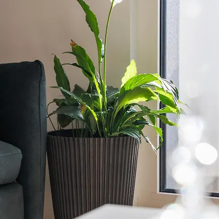 Vibes By Belmont Realty 자다르