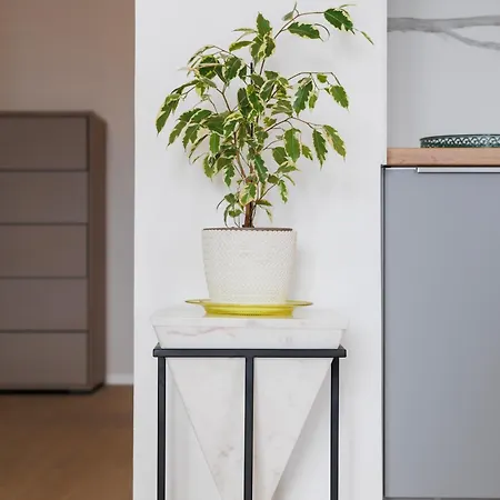 Vibes By Belmont Realty Appartement Zadar