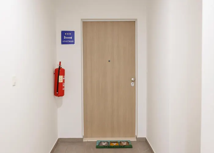 Vibes By Belmont Realty