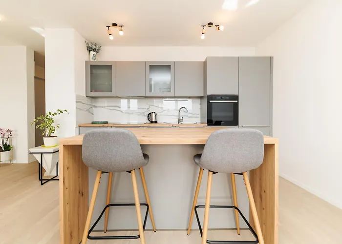 公寓 Vibes By Belmont Realty 扎达尔